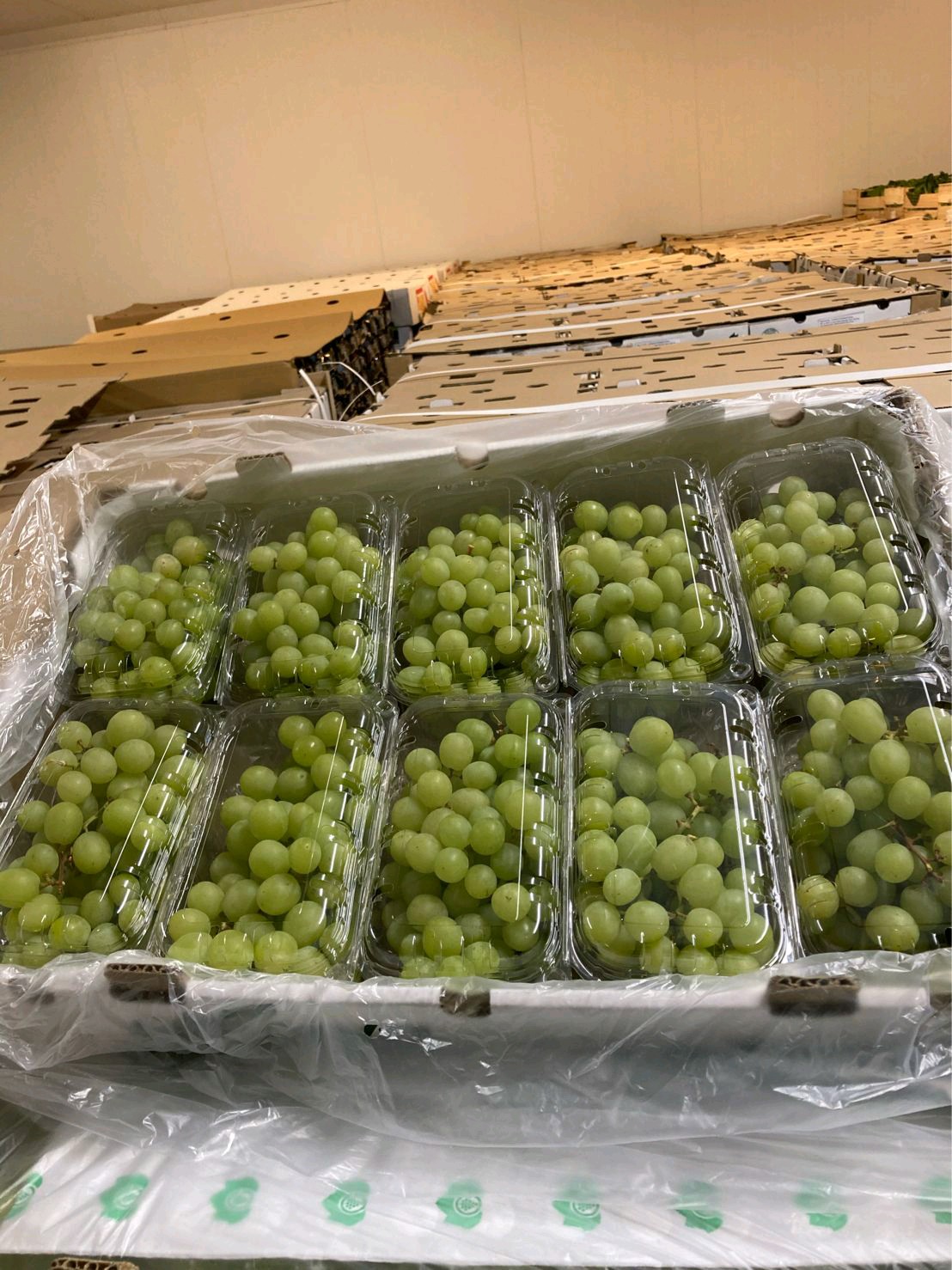Fresh Grapes gallery image 11