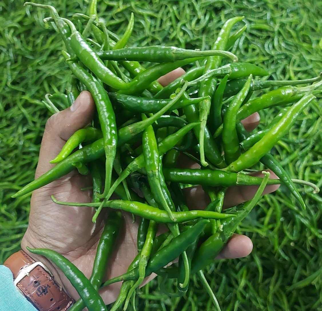 Fresh Green Chilli