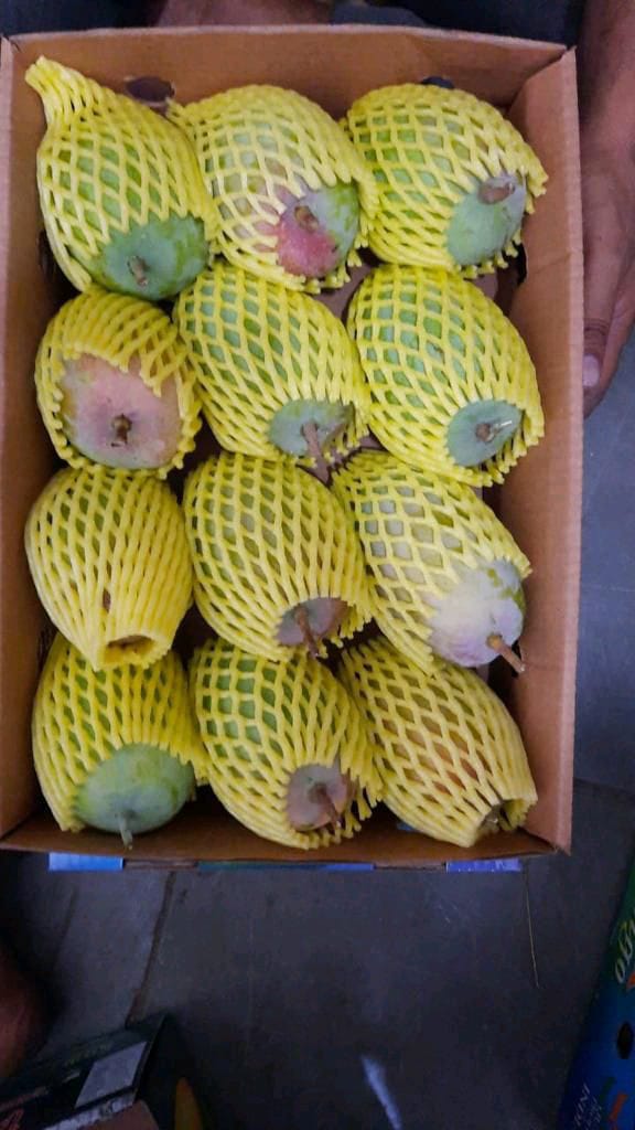 Gir Keshar Mango gallery image 20