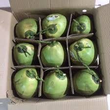 Fresh Tender Coconut gallery image 25