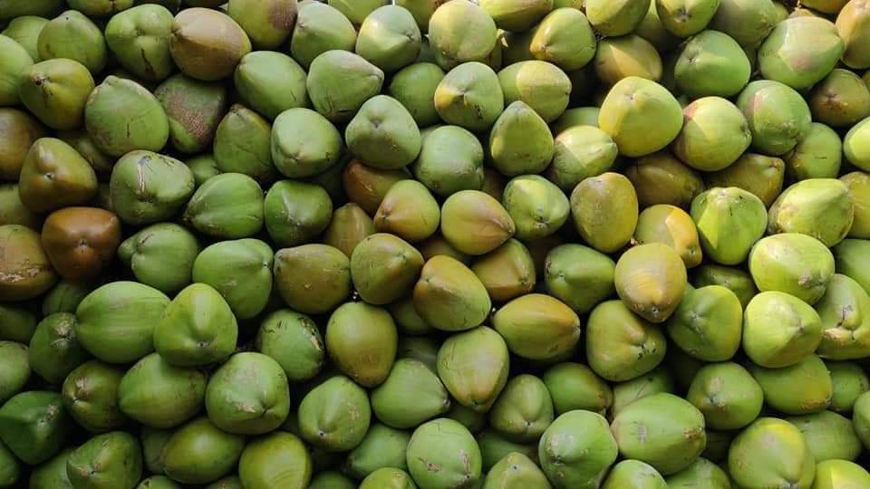 Fresh Tender Coconut gallery image 19