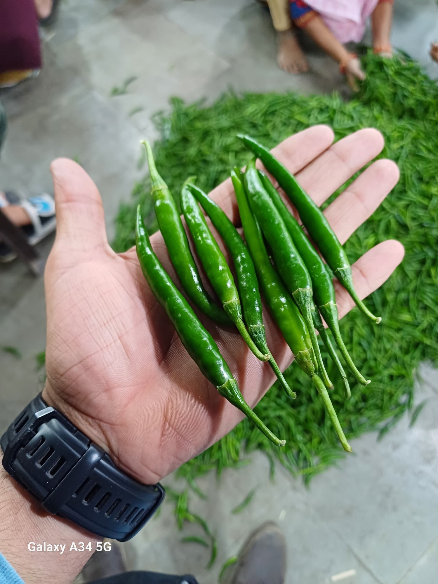 Fresh Green Chilli gallery image 4