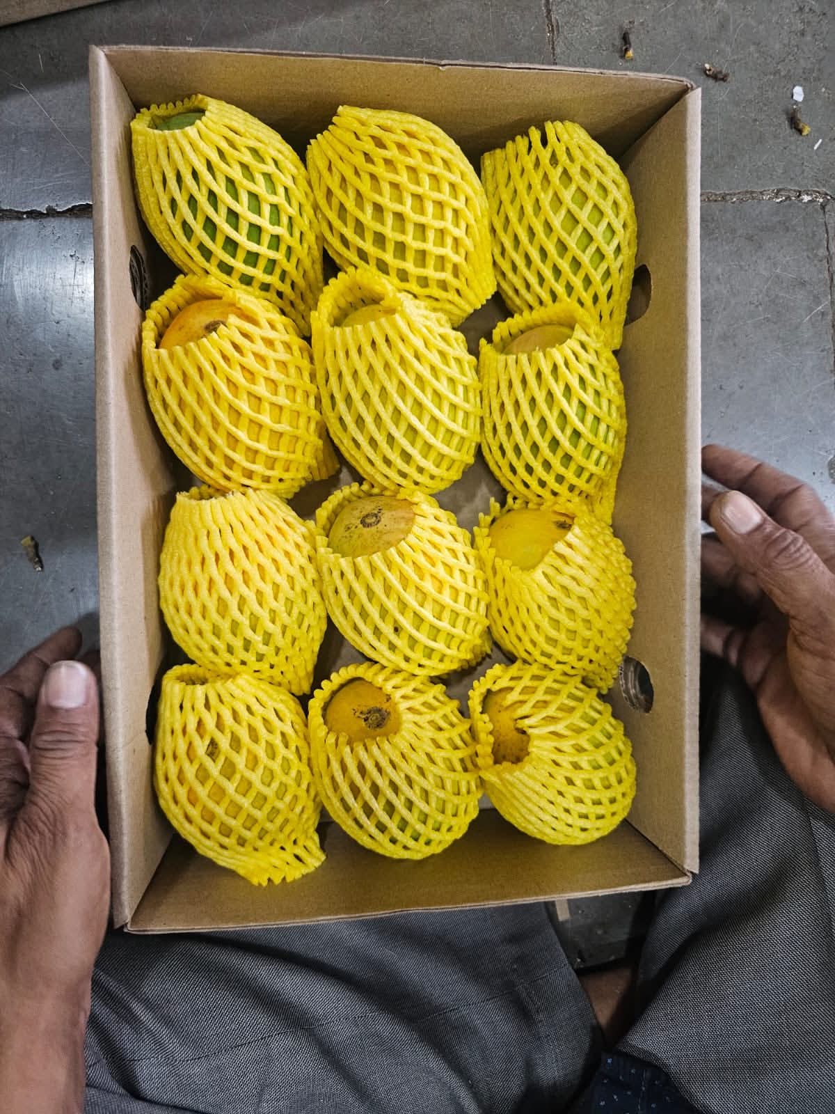 Gir Keshar Mango gallery image 2