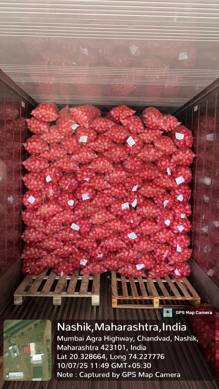 Fresh Red Onion gallery image 15