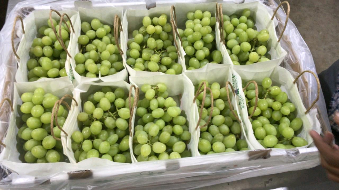 Fresh Grapes gallery image 18
