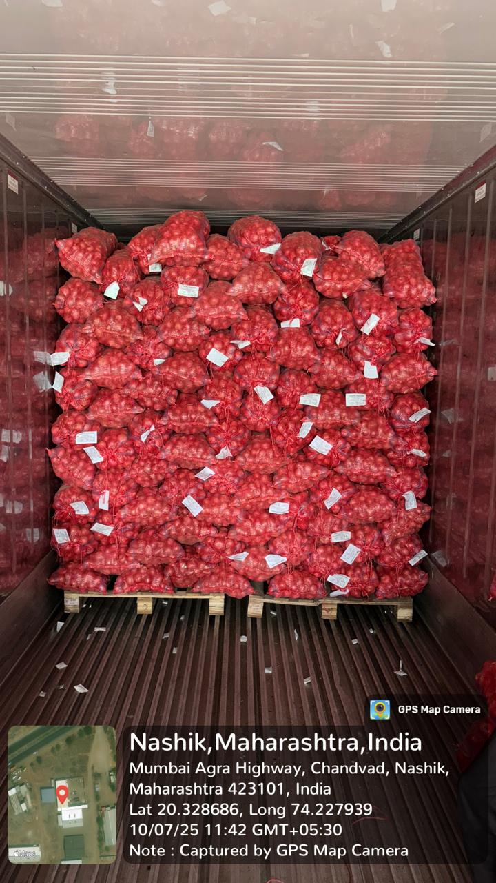 Fresh Red Onion gallery image 17