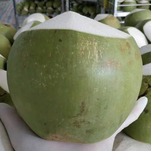 Fresh Tender Coconut gallery image 23