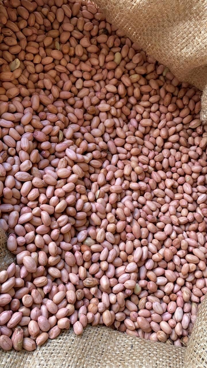 Peanut gallery image 24