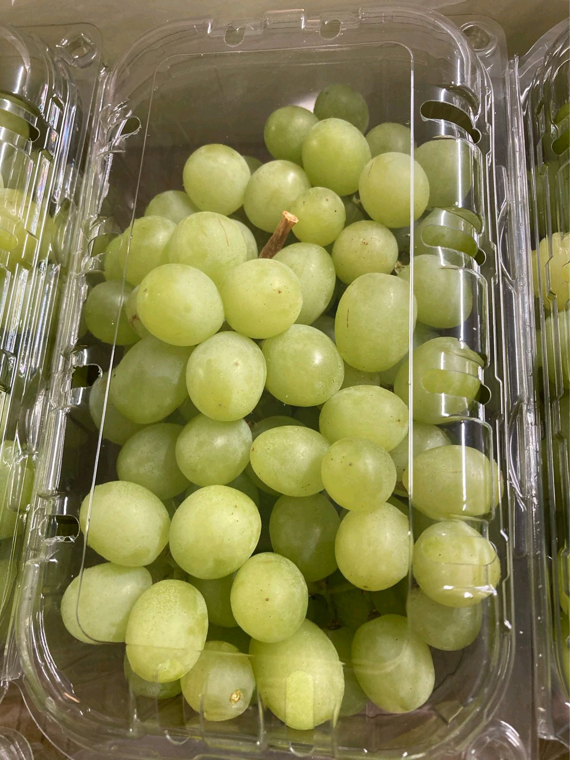 Fresh Grapes gallery image 16
