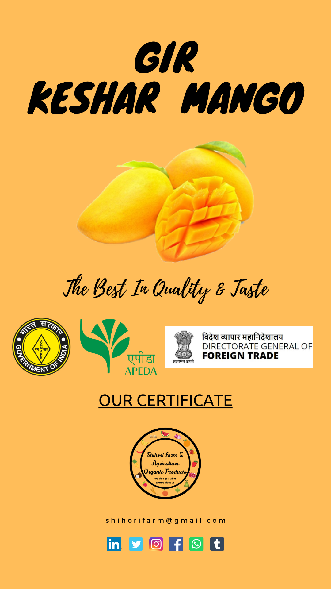 Gir Keshar Mango gallery image 10