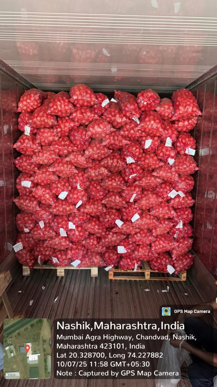 Fresh Red Onion gallery image 19