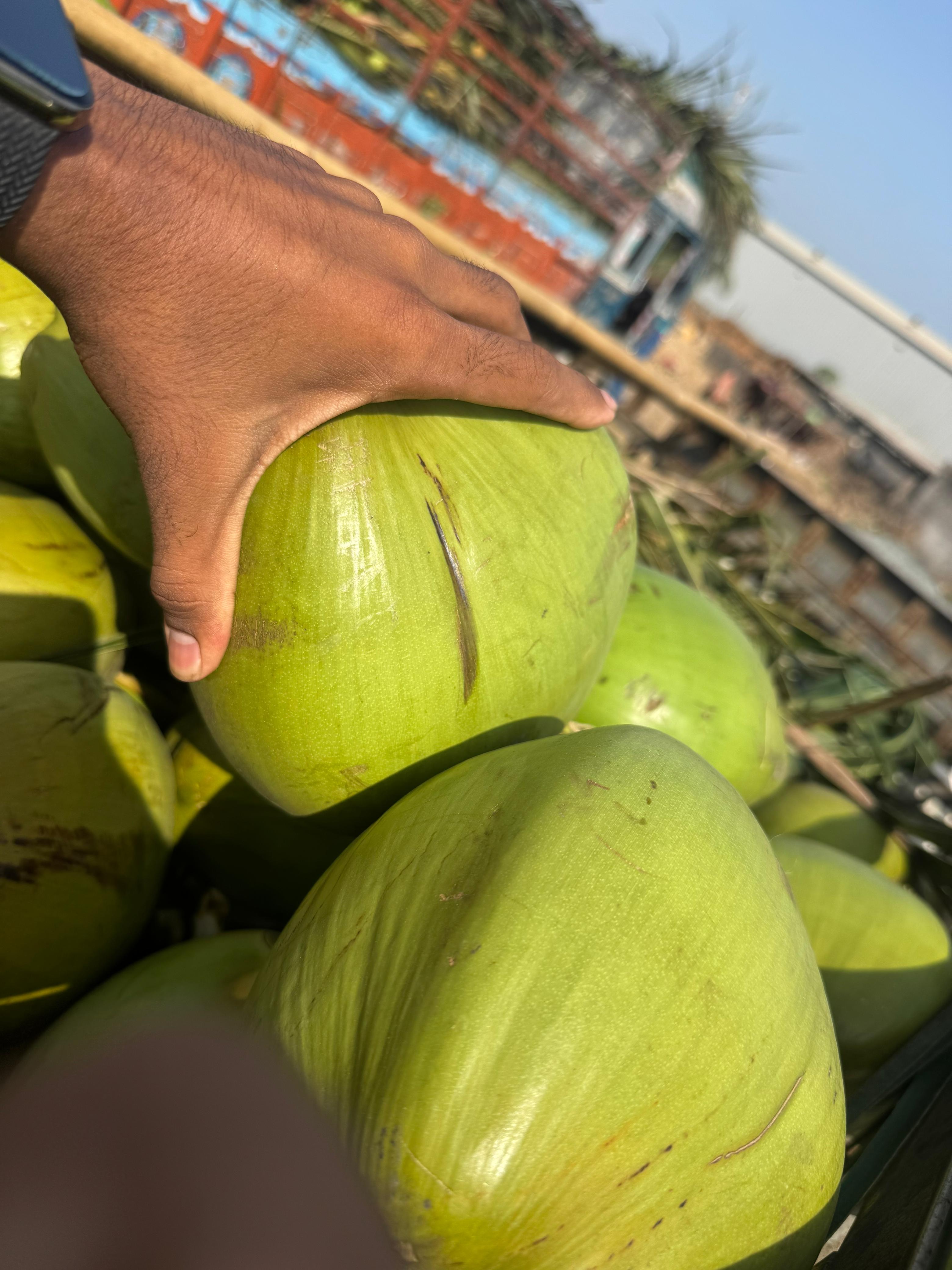 Fresh Tender Coconut