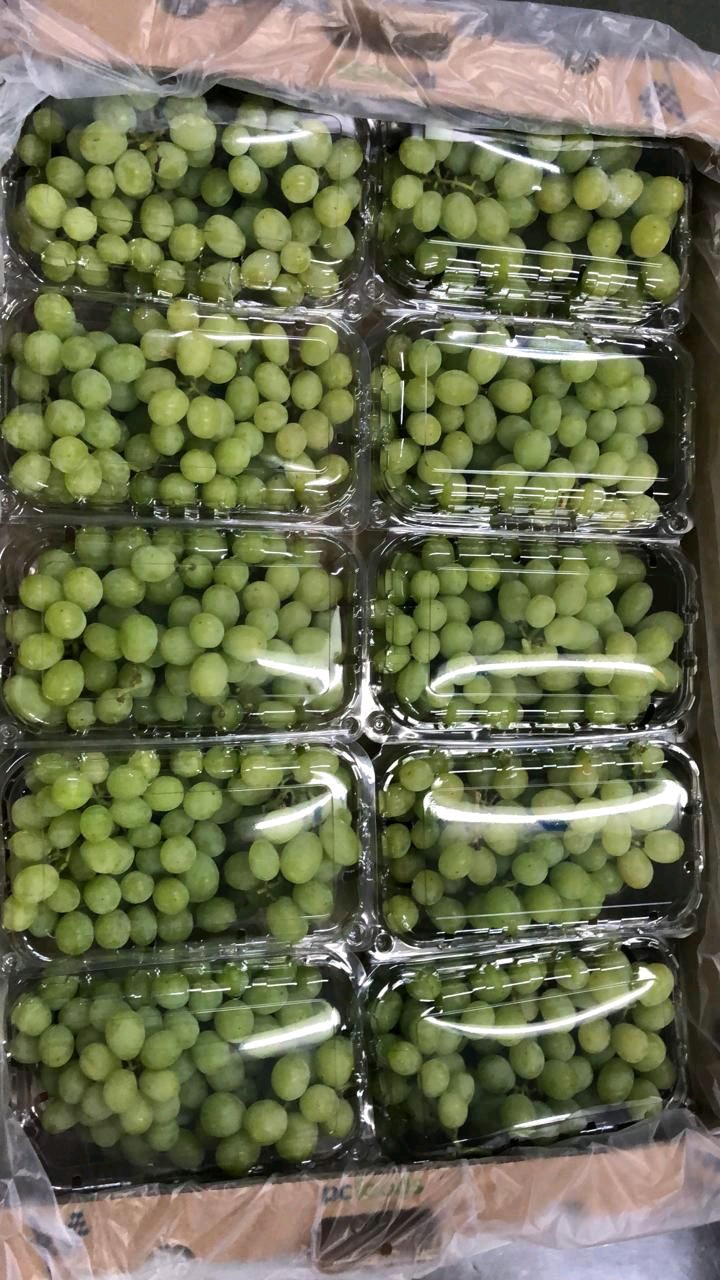 Fresh Grapes gallery image 7