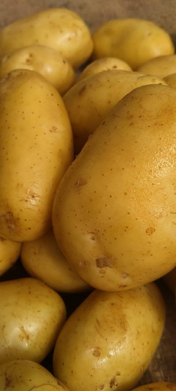 Fresh Potato gallery image 50