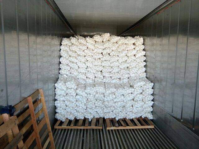 Fresh White Onion gallery image 6