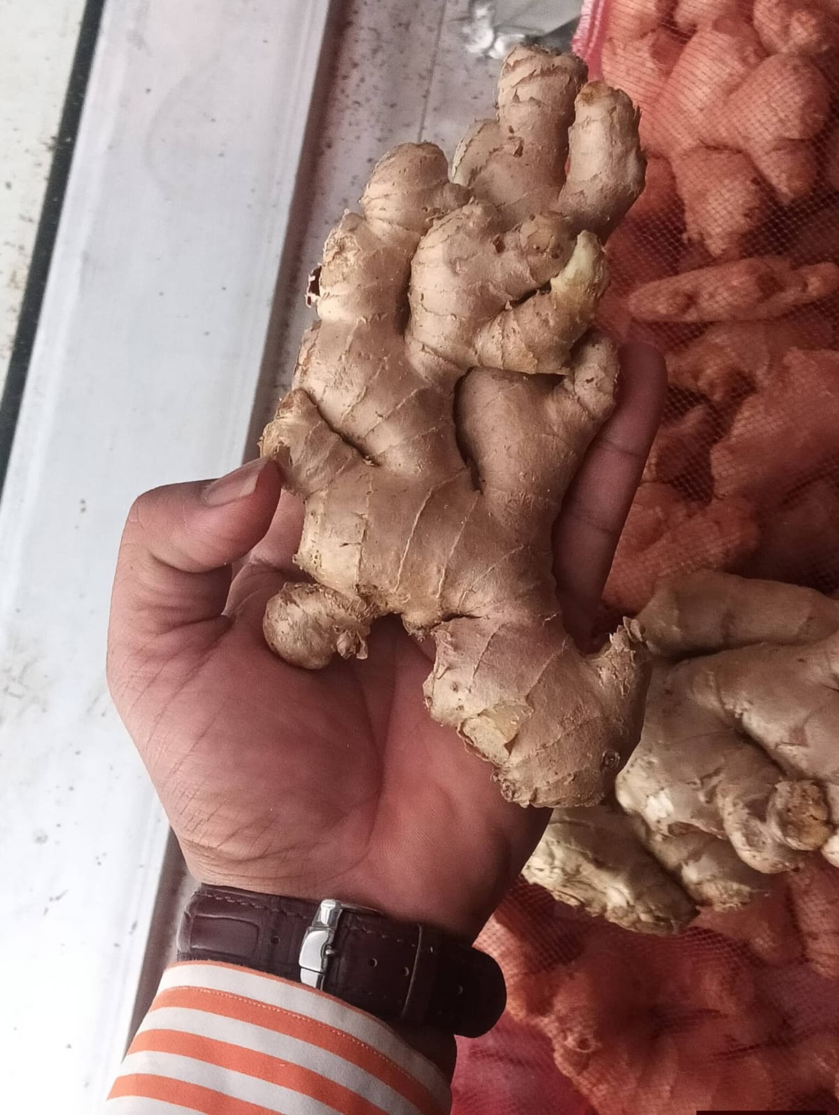 Fresh Ginger gallery image 4